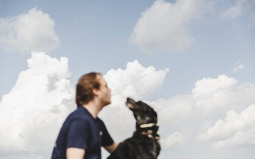 Fotógrafo de Mascotas: Odie, y sus hermanitos croquet