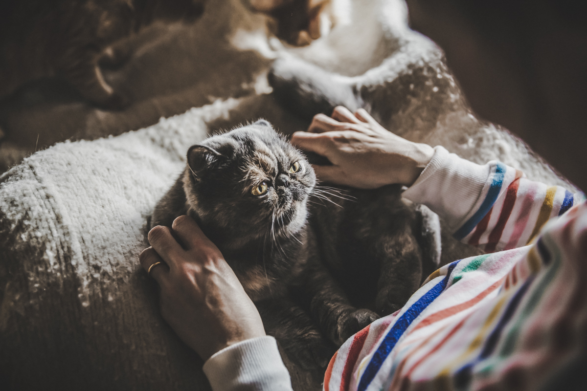 chica con gato atigrado