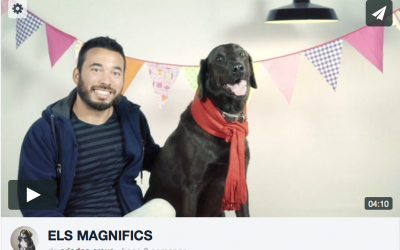 Fotógrafo de mascotas Video «Feliz Navidad» Parte1