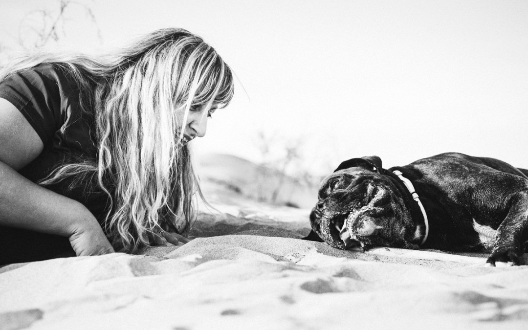 Fotógrafo de mascotas en la playa «Urko en la Platera»