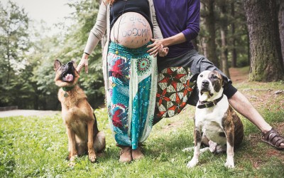 Fotógrafo de mascotas «pre-mamá en el bosque con Jamfri & Loba»