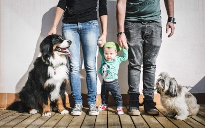 Fotógrafo de mascotas en la playa «Ona i les All Star»