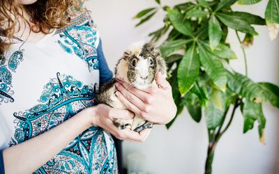 Fotógrafo de mascotas «VeggieAnimals, sweet Home»