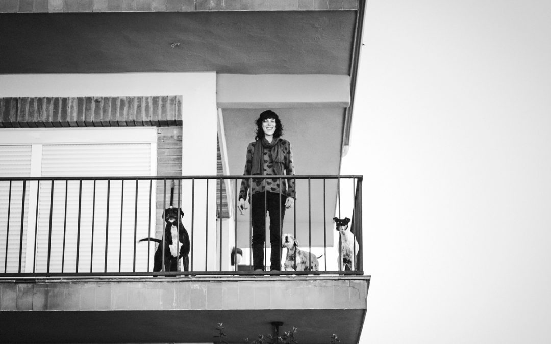 Fotógrafo de mascotas «Tres damas muy caninas»