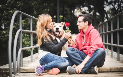 Fotógrafo de mascotas «Caipi, un senior muy especial»