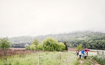 Caminada Popular Solidaria con los perros de la Protectora Terra viva