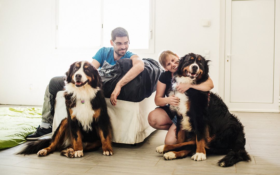 Fotógrafo de mascotas «Muffin&Izoku, un decir adiós bellísimo»