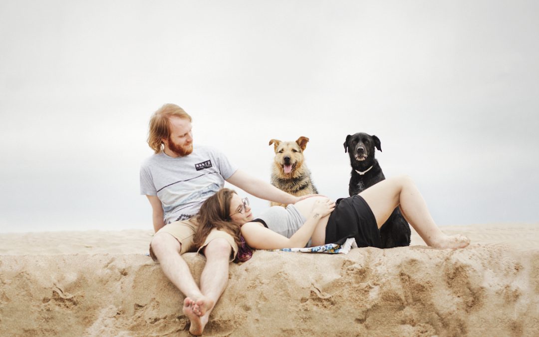 Fotógrafo de mascotas: Atardecer en la playa I. Amores perrunos que esperan hermanito