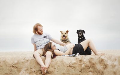 Fotógrafo de mascotas: Atardecer en la playa I. Amores perrunos que esperan hermanito