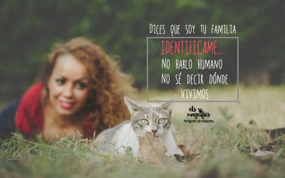 IDENTIFICA A TU GATO! ponle CHIP a tu familia!