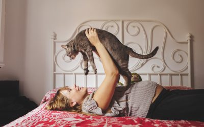 Fotógrafo de mascotas Sesión Embarazo en una bella casita