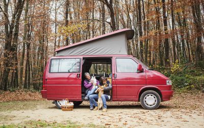 Fotógrafo de mascotas «Picnic en la Fageda d´en Jorda»