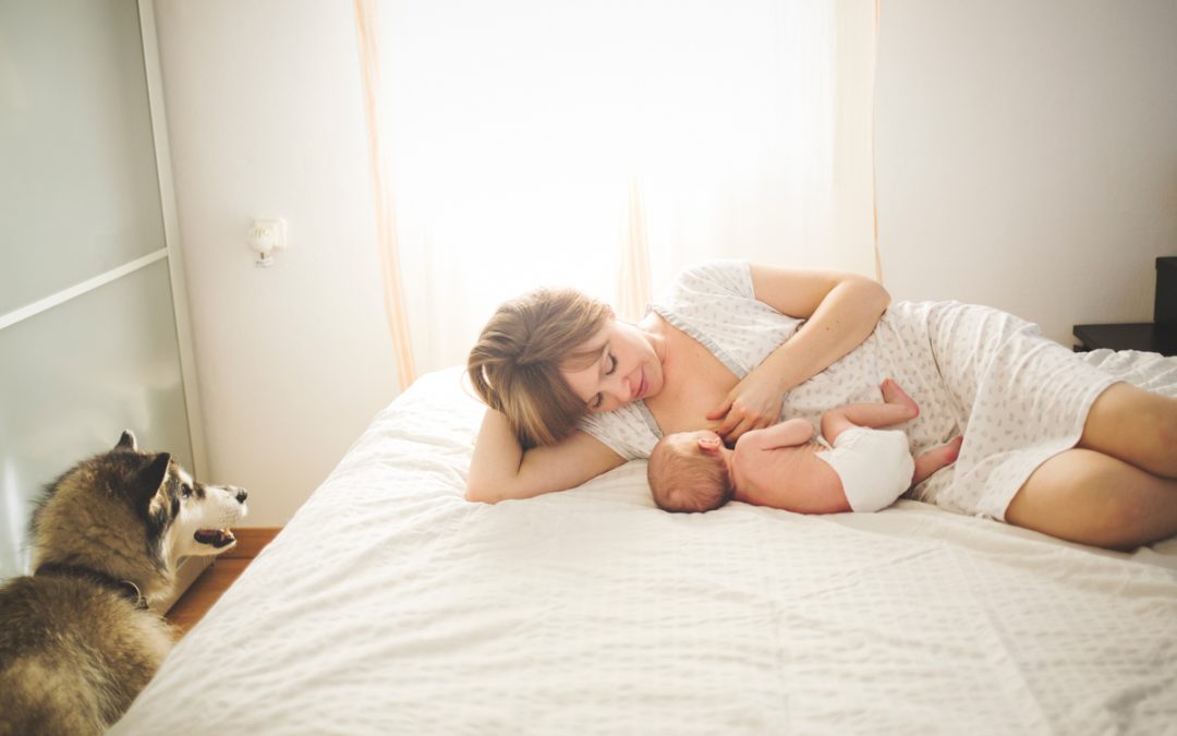 Fotógrafo de Mascotas: «Eidan y su sesión newborn»