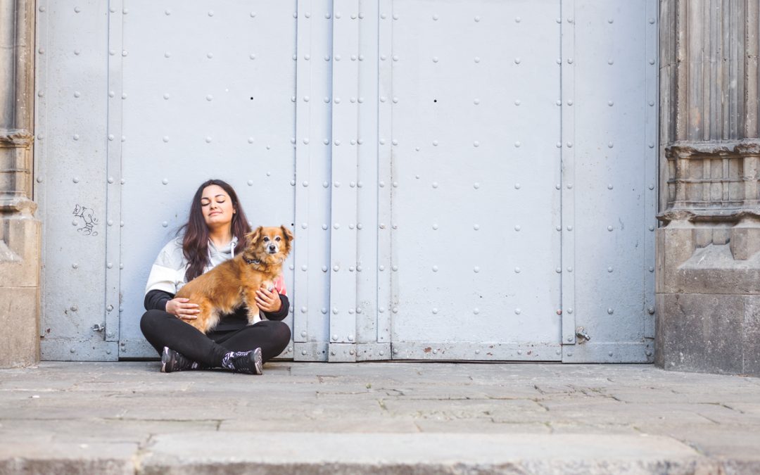 Fotógrafo de mascotas: Puro amor perruno de Manchester a Barcelona