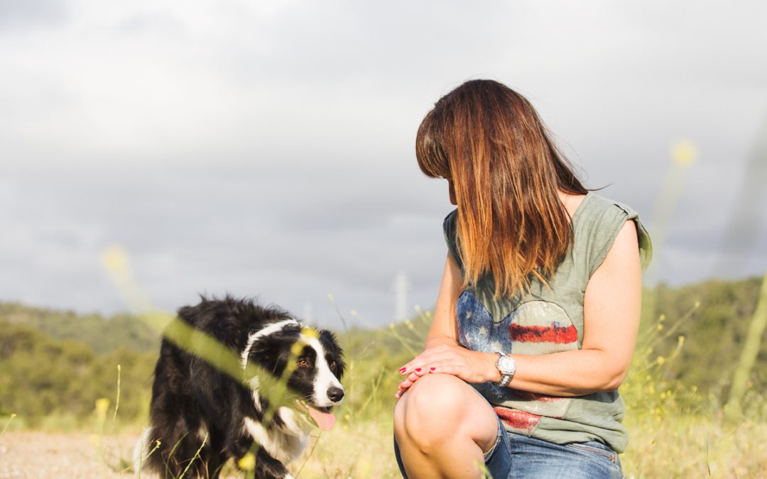 Fotógrafo de mascotas: Les Dinamites, un precioso error.