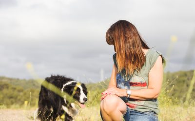 Fotógrafo de mascotas: Les Dinamites, un precioso error.