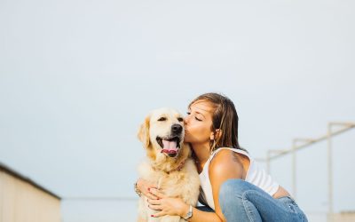 Fotógrafo de Mascotas: Mia, una Golden Retriever muy suertuda