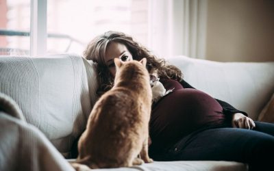 Fotógrafo de mascotas: Honey