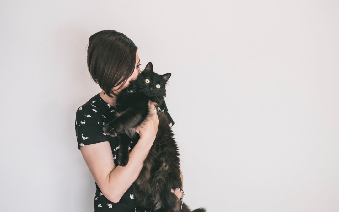 Fotógrafo de Mascotas: La casa llena de amor gatiperruno