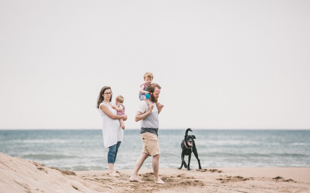 Fotógrafo de mascotas: Odie y Dexter. Atardecer en la playa III