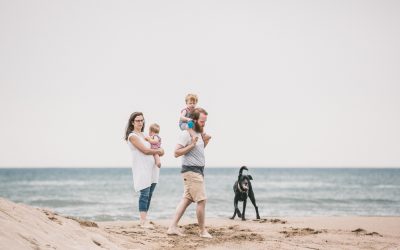 Fotógrafo de mascotas: Odie y Dexter. Atardecer en la playa III