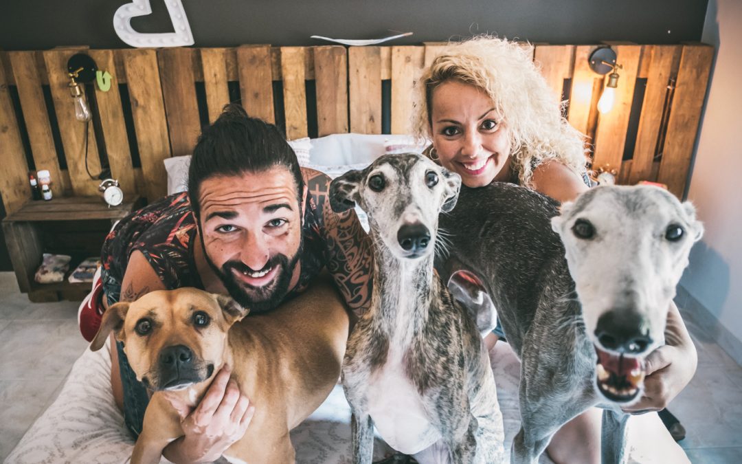 Fotógrafo de mascotas: PreBoda en familia altamente amorosa