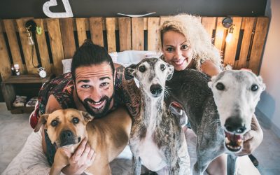Fotógrafo de mascotas: PreBoda en familia altamente amorosa