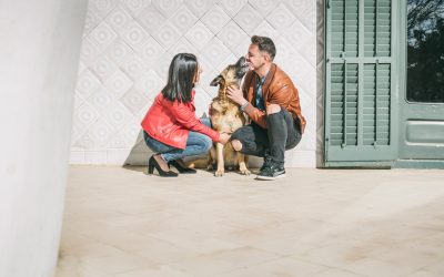 Fotógrafa de mascotas: Agora, una bellezón Pastor Alemán