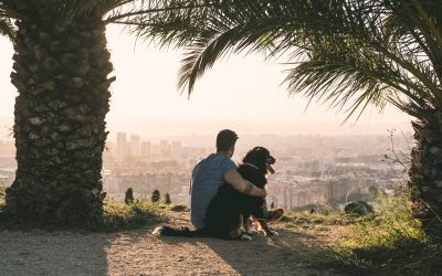 Fotografo de mascotas: Trio de damas