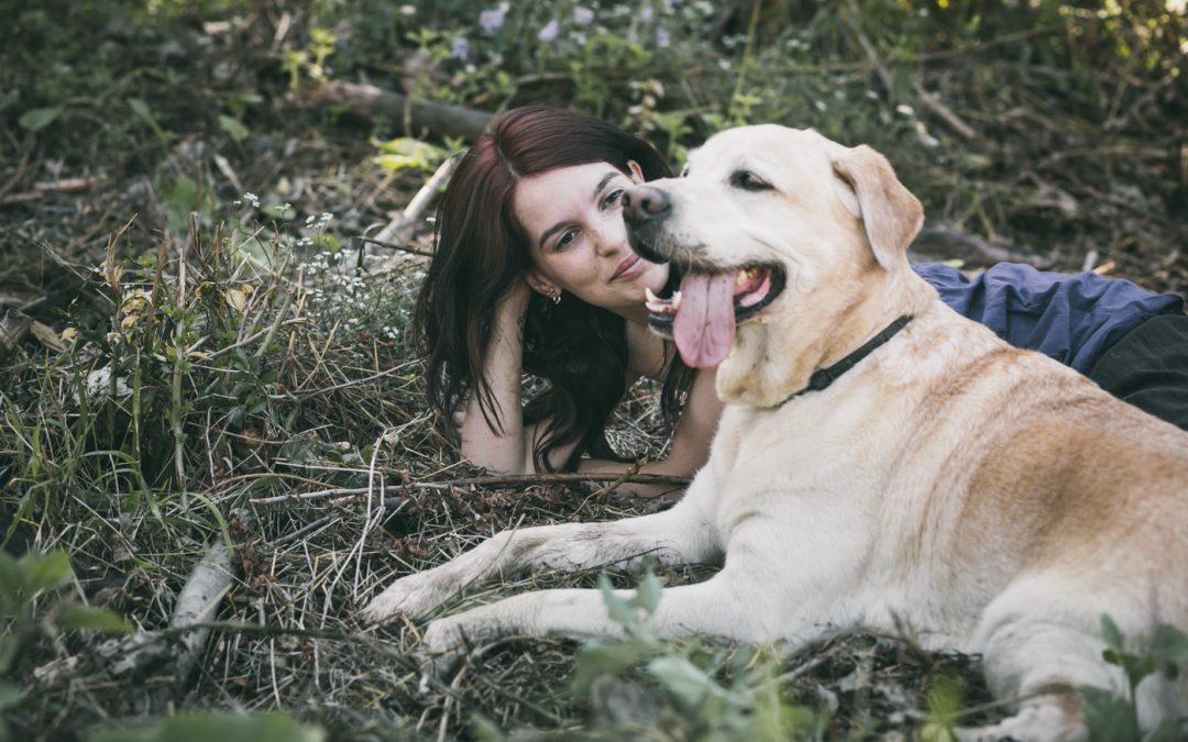 Fotógrafo de Mascotas: Hasta pronto! Golfo #elbondadoso