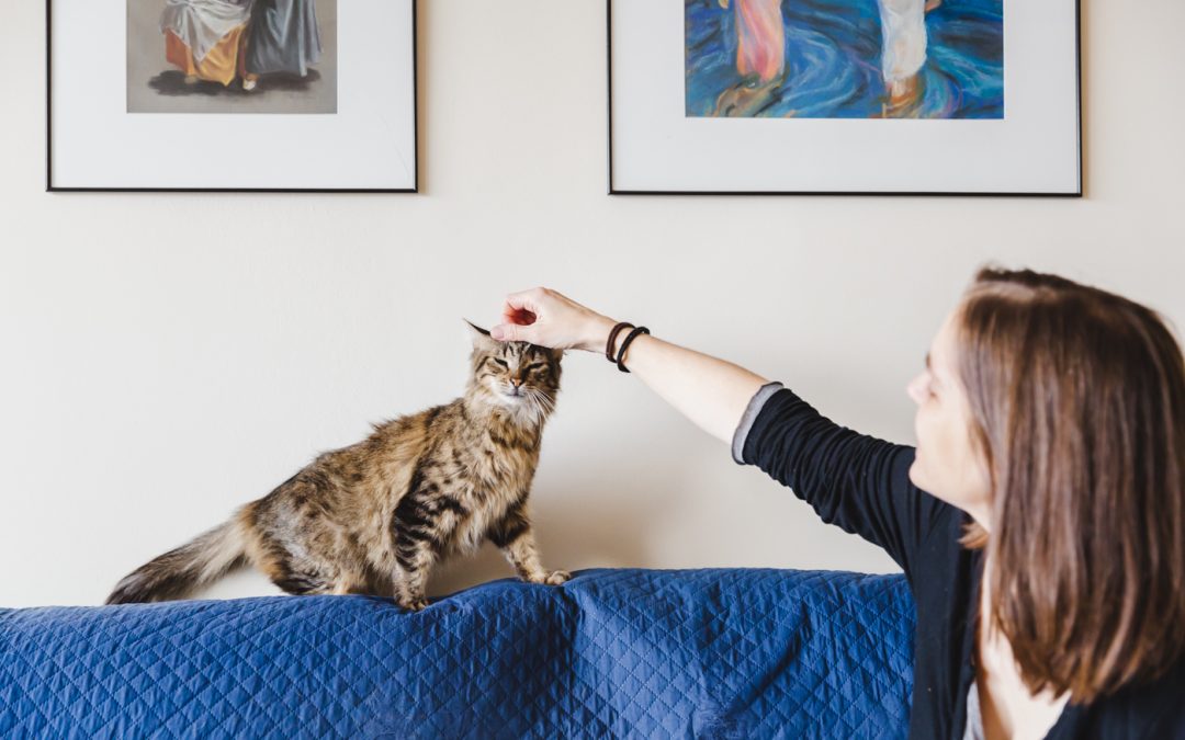 Fotógrafo de mascotas: Canica, Mitsuko y Silene un trio de bonikis