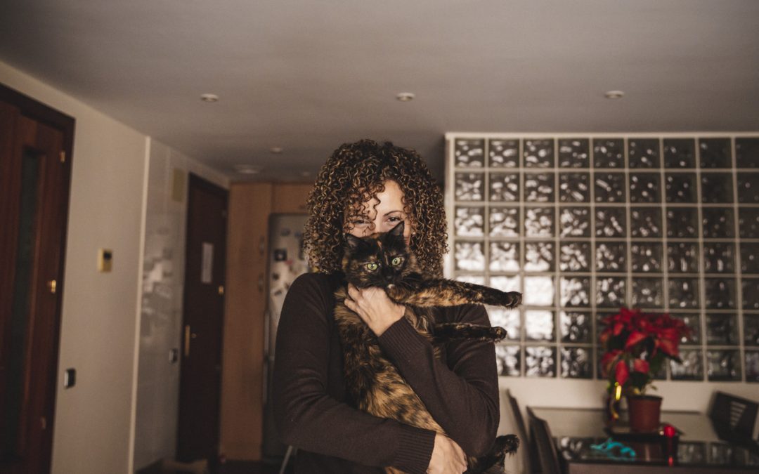 Protegido: Fotógrafo de mascotas: Saga, la gata de ojos esmeralda