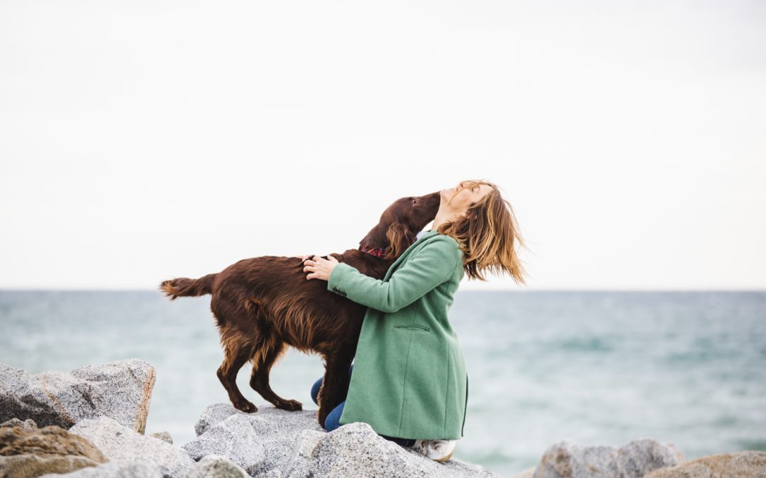 Fotógrafo de Mascotas: Phibie & Joyce, dos Flat-Coated Retriever bellísimas