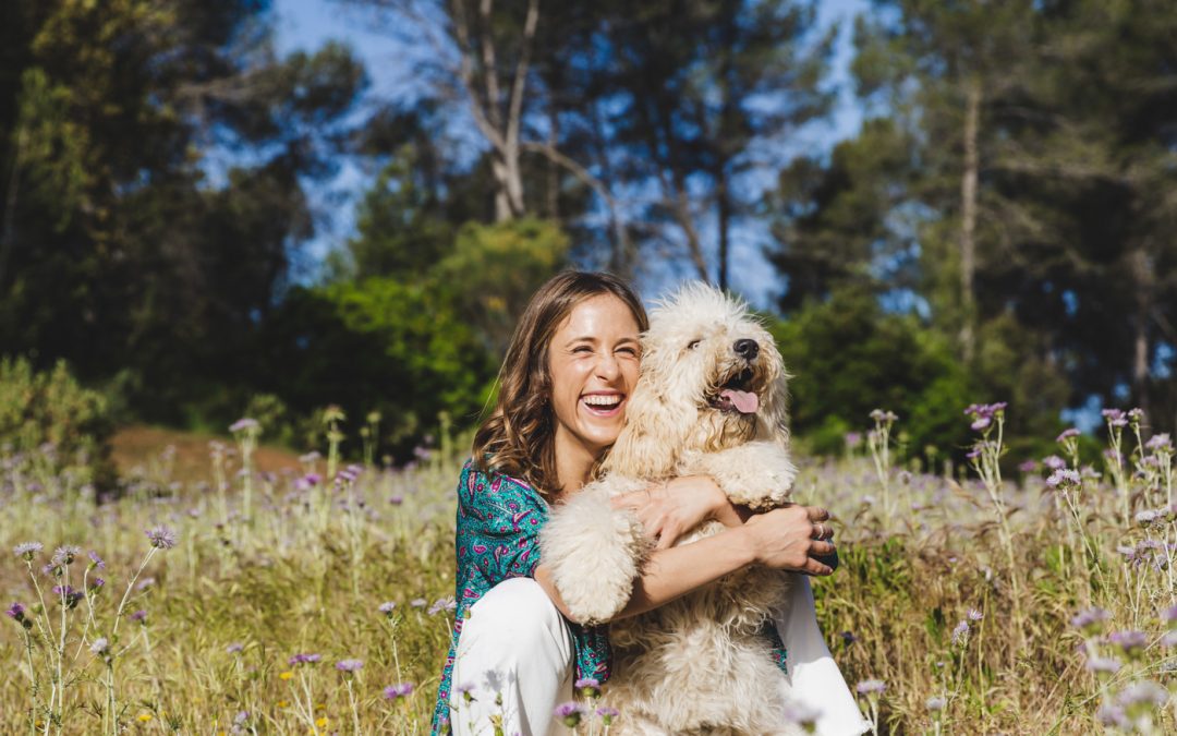 Fotógrafo de Mascotas: Sacher, la lucecita que faltaba