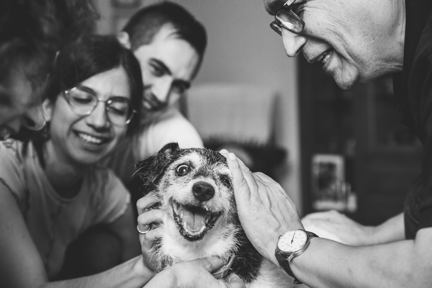 senior dog with his family