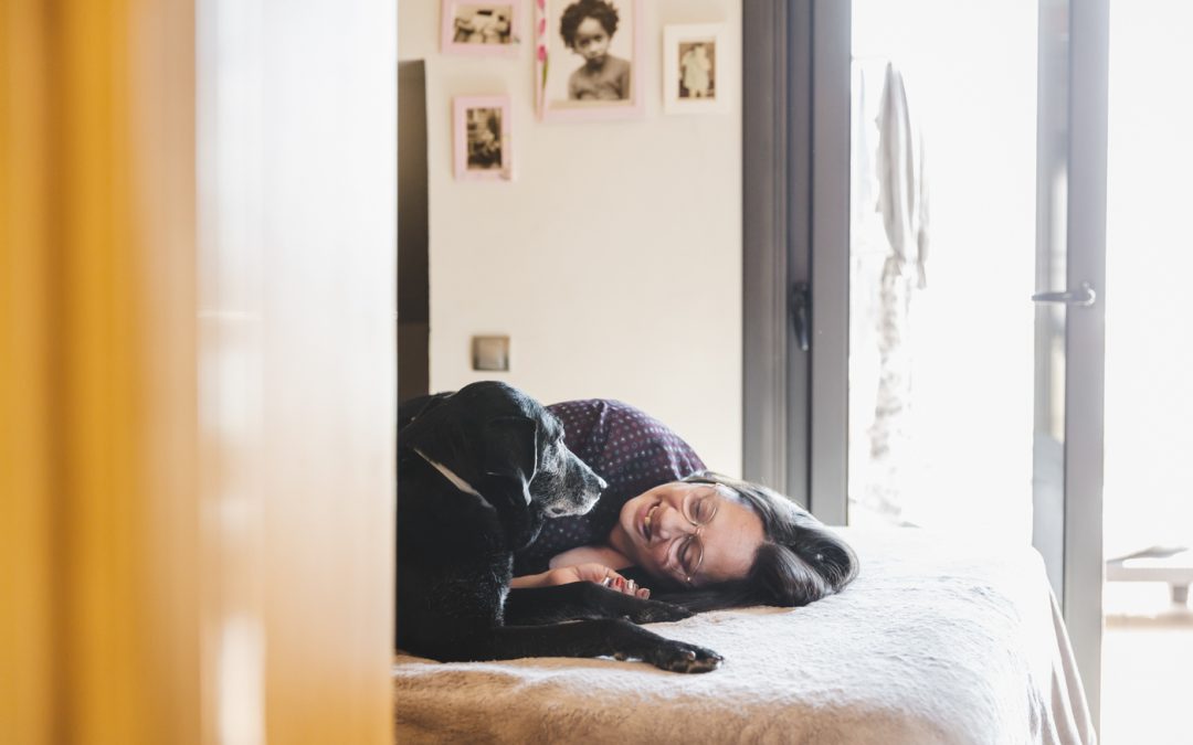 Protegido: Fotógrafa de mascotas: Frida, la orejillas divertidas