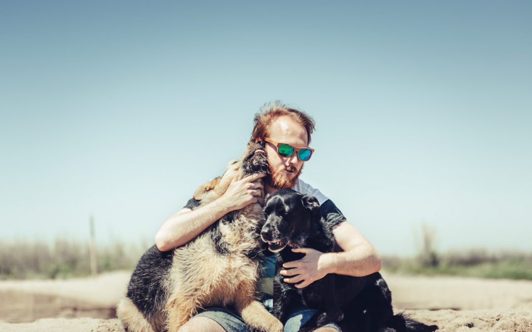 Fotógrafo de mascotas: Dexter y el día de playa más bonito del mundo