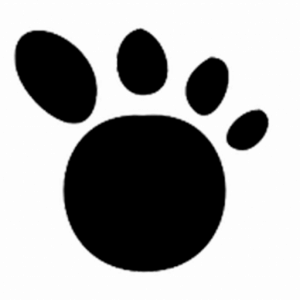 huella Els magnifics