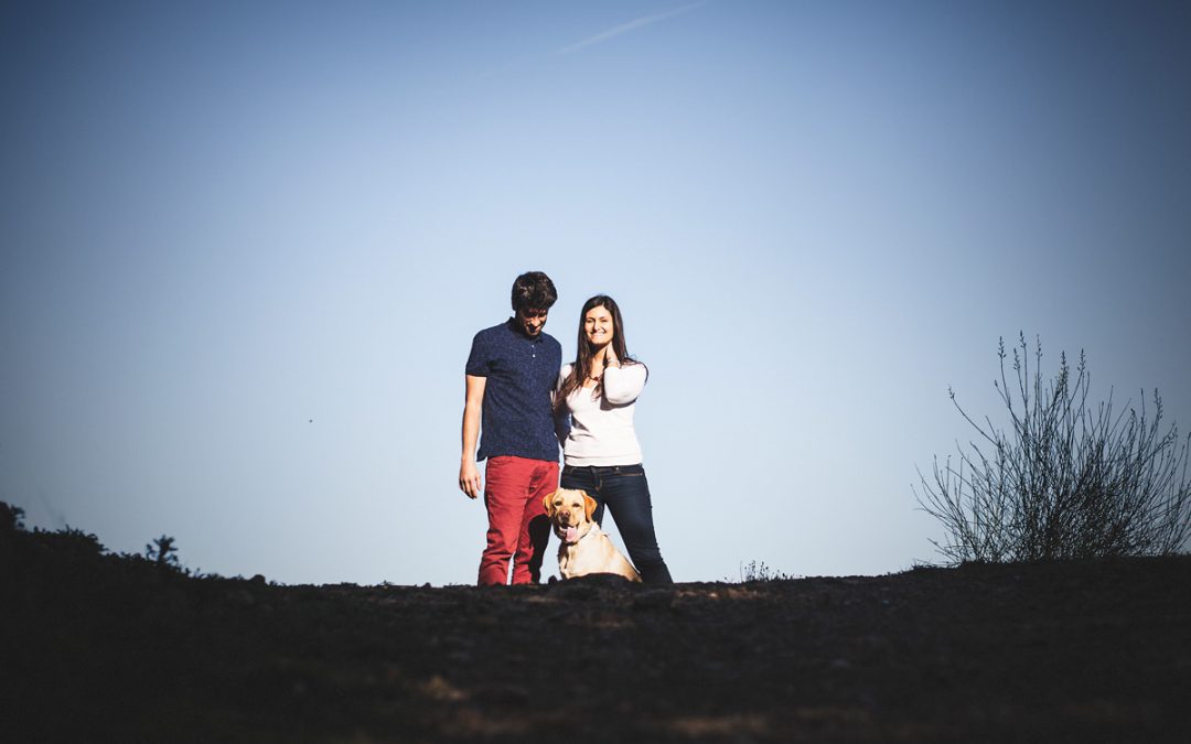 Fotógrafo de mascotas «Cairo, un labrador muy travieso»