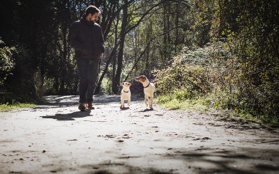 Fotógrafo de mascotas «Bukito, Aria & Antonio»