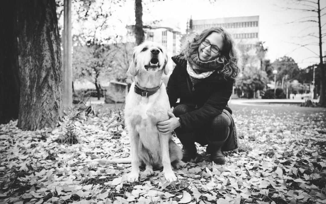 Fotógrafo de mascotas «Roma, Misi, Roma & Judit»