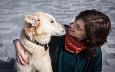 Fotógrafo de mascotas «Pat & Zeus, mi precioso viejito»