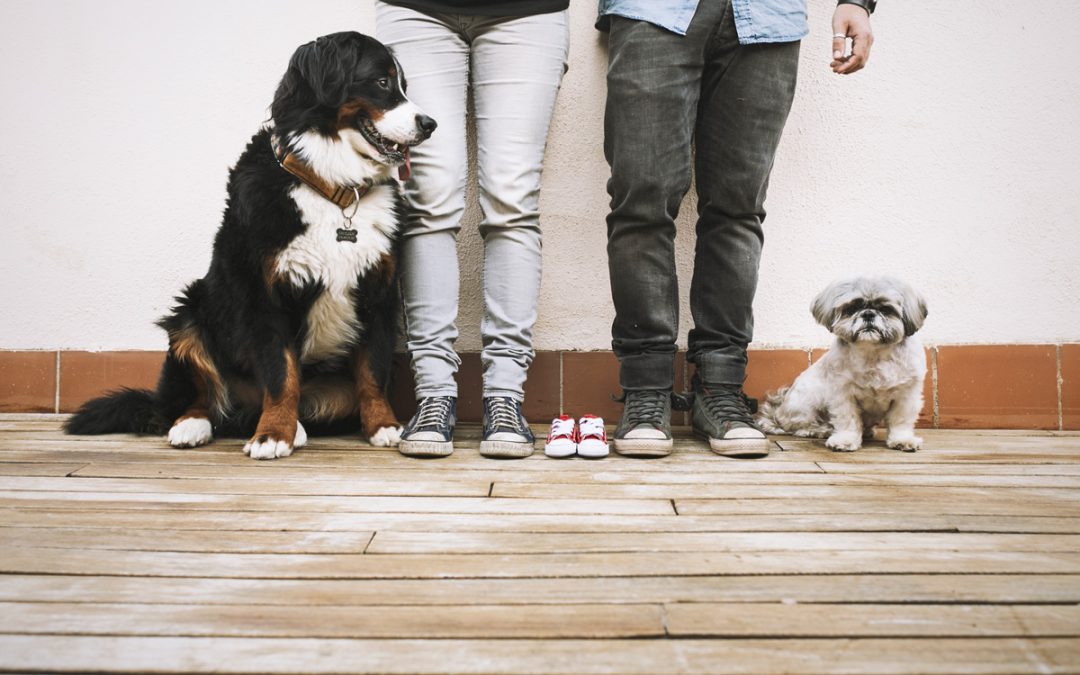 Fotógrafo de mascotas «baby Ona, la teva familia mola mil»