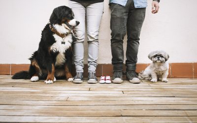 Fotógrafo de mascotas «baby Ona, la teva familia mola mil»