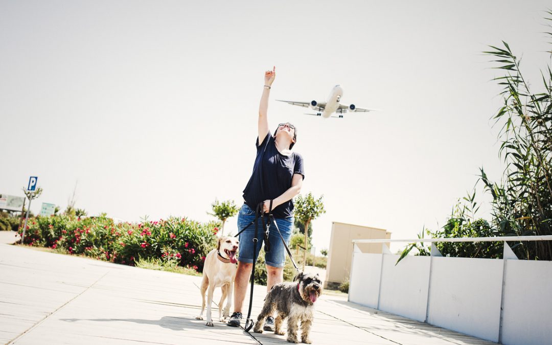 Fotógrafo de mascotas «Kasun & Bimba, la extraña pareja»