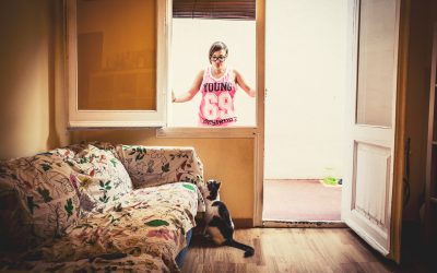 Fotógrafo de mascotas «Una familia muy felina»