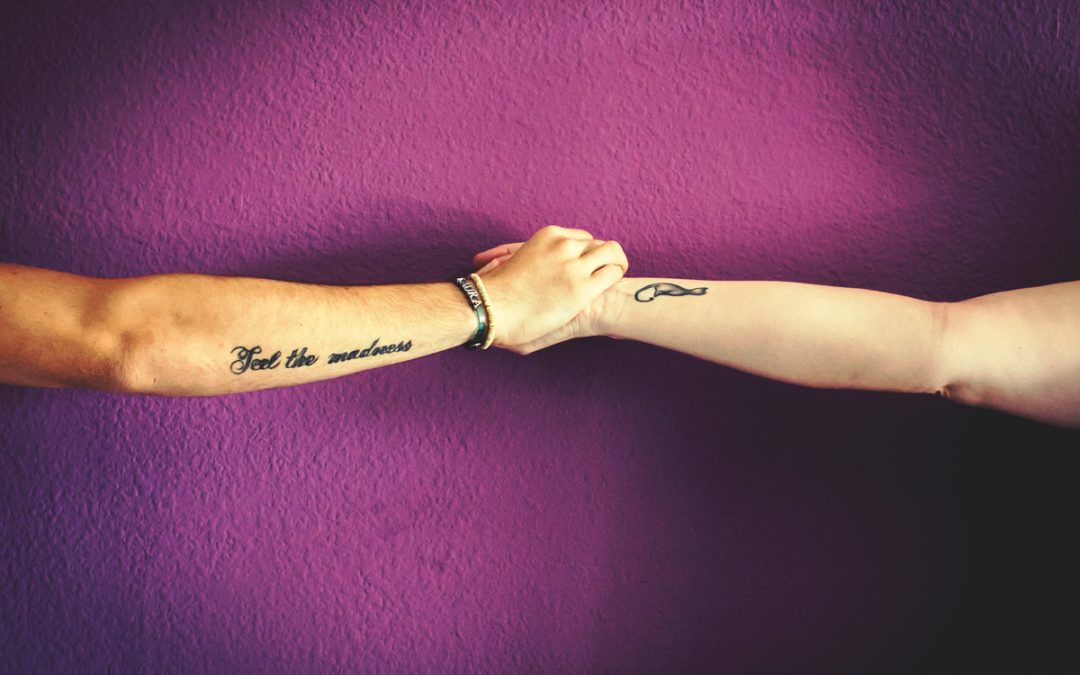 Fotógrafo de mascota «7 corazones felinos»