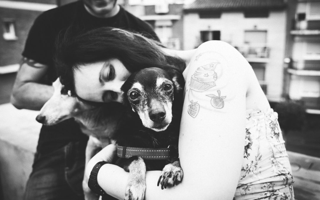 Fotógrafo de mascotas «Lola, La Dulce Loleitor»