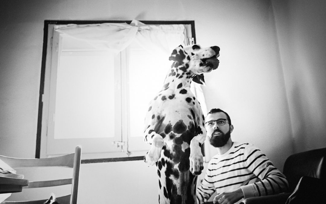 Fotófrafo de mascotas «Custo, Horus & Kitty, la divertida “guardería”