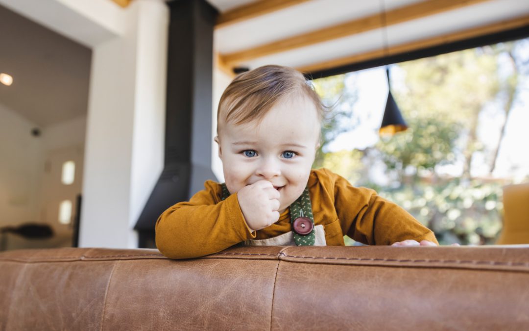 Fotografo de Mascotas: Gautier y sus magnifics KAO y GECKO